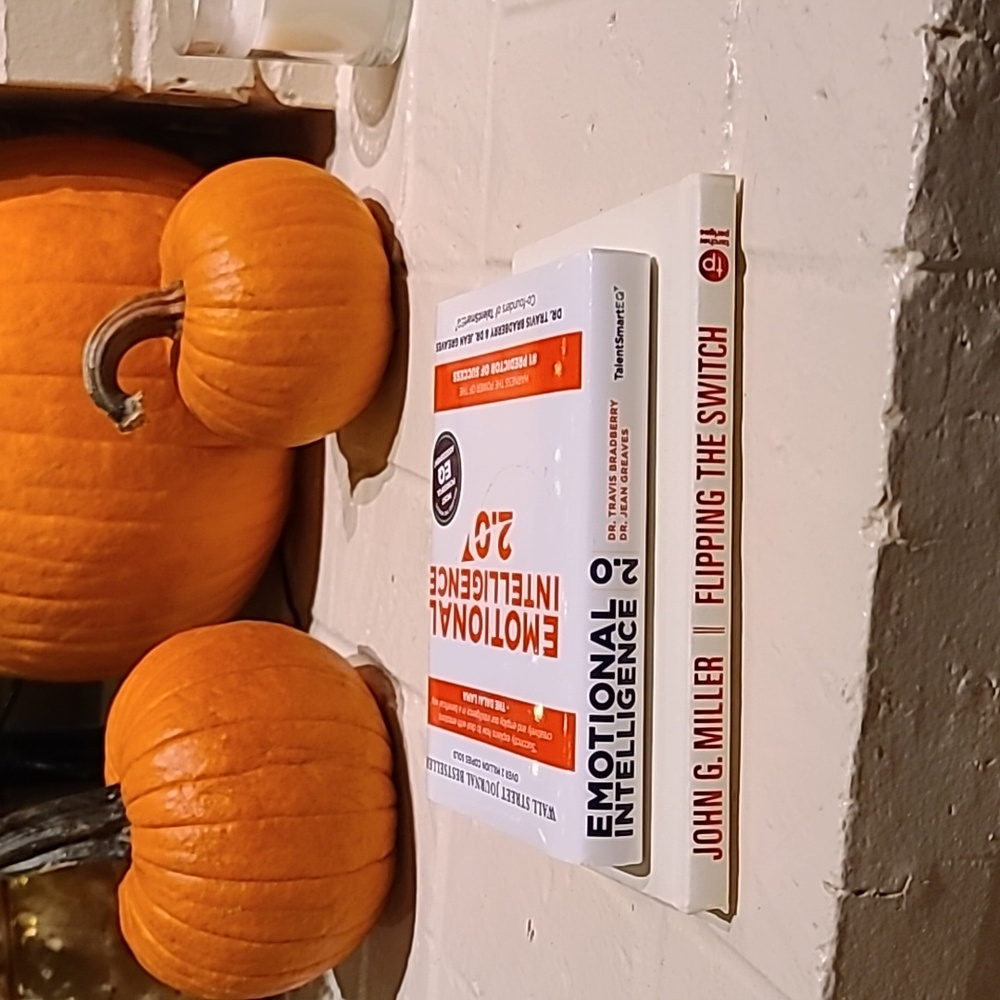 Professional Development Books- Emotional Intelligence 2.0 & Flipping The Switch